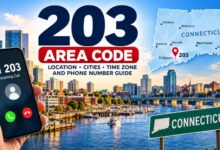 203 Area Code